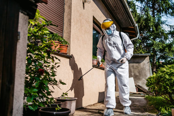 Best Commercial Pest Control Services  in New Plymouth, ID