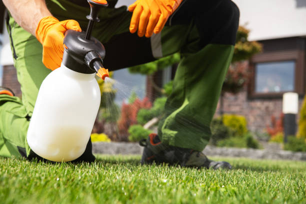 Pest Prevention Services in New Plymouth, ID