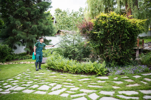 Best Affordable Pest Control Services  in New Plymouth, ID