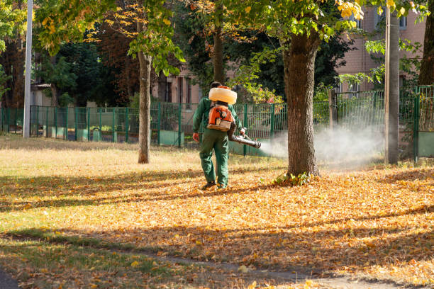 Trusted New Plymouth, ID Pest Control Experts